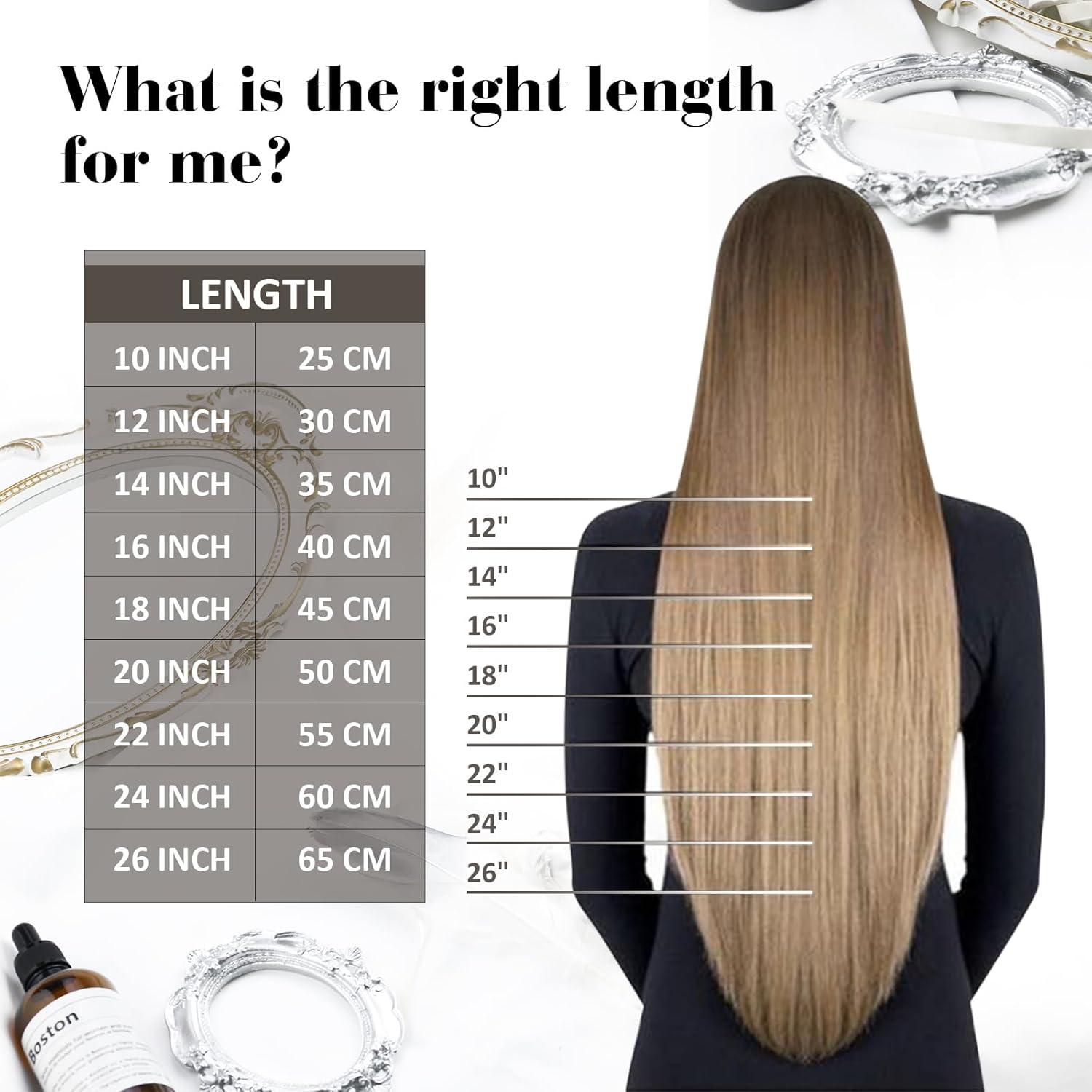 imageMoresoo Clip in Hair Extensions Human Hair Balayage Light Brown with Golden Blonde Real Hair Extensions Clip in Human Hair Ombre 2packs 16inch
