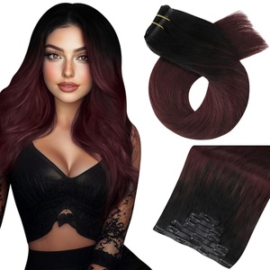 Moresoo Human Hair Clip in Extensions Remy Hair 20 Inch Burgundy Straight Clip in Real Hair Extensions Off Black to Wine Red #1B/99J PU+Lace Total 2 Packs Clip in Hair